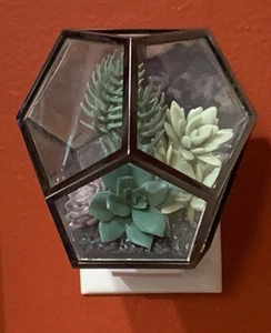 Bath & Body Works Sukkulenten TERRARIUM Wandblume Steckdiffusor Bronze - Bild 1 von 7