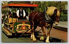 Tramway tiré par des chevaux @ Main Street USA Walt Disney World ~ carte postale vintage