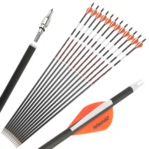 6/12 X 31'' Archery Luminous Arrow Spine 300-600 Pure Carbon +/- .003 Shooting - Picture 1 of 18