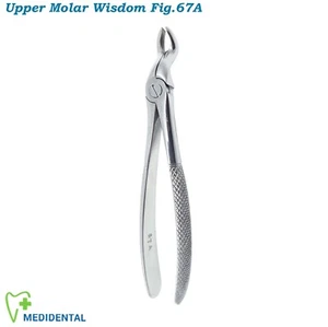 Tooth Extractor Forceps Extraction Dental Surgical Forcep Fig. 67A lower  Molar - Picture 1 of 5