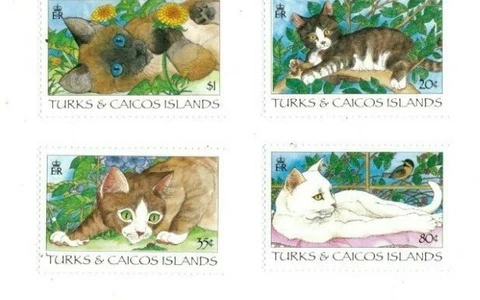 Turks and Caicos - 1995 - Cats - Set of 4 Stamps - MNH Cover