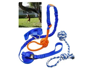 Outdoor Retractable Bungee Hanging Dog Toy, Interactive Tether Tug Toy, 2 ropes  - Picture 1 of 9