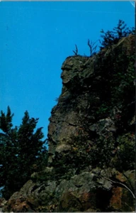 OLD MAN OF THE DALLES Taylors Falls, Minnesota MN Postcard - Picture 1 of 2