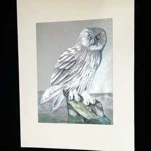 Cuadro artístico Dufex lámina de colección R J Smith búho nevado en montañas con mate firmado 1977 - Imagen 1 de 6