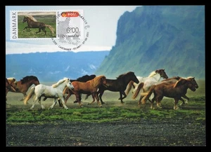DENMARK 2013 Maximum Card ATM - NORDIA Icelandic horse Islandais caballo fauna - Picture 1 of 1