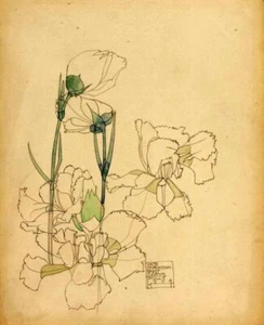 White Carnation : Charles Rennie Mackintosh : 1904 : Archival Art Print - Picture 1 of 2