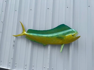 Réplica de meia montagem 42" Bull Dolphin "Green Hornet" - Produção rápida - Imagem 1 de 3