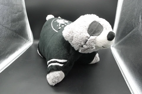 raiders merchandise, Pillow Pet and Throw blanket Cover