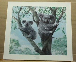 Ambassadors by Charles Frace Koalas Wildlife COA SOLD OUT eucalyptus tree  - Picture 1 of 4