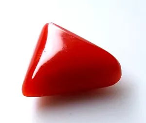 3,55 kt 100 % natürliche rote Koralle Billion Smoothies Cabochon lose Edelsteine CR-3 - Bild 1 von 4