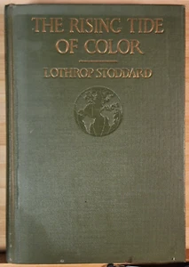 Rising Tide Of Color Against White World-Supremacy by Lothrop Stoddard, 1923, HC - Picture 1 of 8
