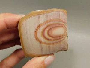 Wonderstone riolita roca pulida Utah #O10 - Imagen 1 de 9