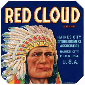 ORIGINAL KISTENETIKETT VINTAGE FLORIDA INDIANER 7X7 RAR ROTE WOLKE HAINES CITY D8 - Bild 1 von 1