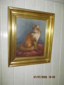 Schönes älteres Gemälde sitzende rote Katze 33,5 x 39,5 cm signiert - Bild 1 von 5