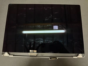 GENUINO Apple MacBook Pro 16" 2021 A2485 Pantalla Repuesto | Bueno - Imagen 1 de 4