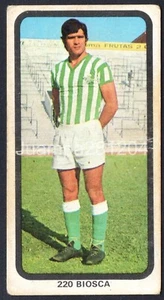 BIOSCA #220 REAL BETIS LIGA 1974-75 CROMO RUIZ ROMERO 74/75 NUNCA PEGADO DOBLEZ - Picture 1 of 4