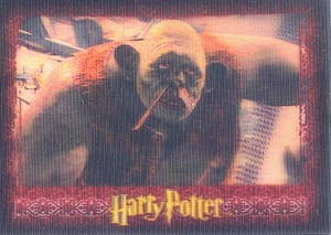 TARJETA PROMOCIONAL HARRY POTTER THE WORLD OF IN 3-D 2007 ARTBOX P1 - Imagen 1 de 1