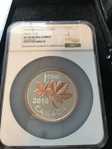 2018  Canadian, Maple Twig  99.99 Silver ( 5.06 oz ASW)  ¢1 **NGC*PF-70 UC Gilt - Bild 1 von 6