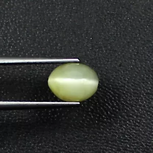 AAA Natural Green Color Cat's Eye Cabochon Loose Gemstone 7.4x6x5 MM Oval Shape - Picture 1 of 4