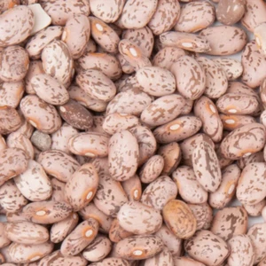 Pinto Beans, Bulk, Sproutable, Kosher, Raw, Vegan 2lb bags, Triple Cleaned - Picture 1 of 7