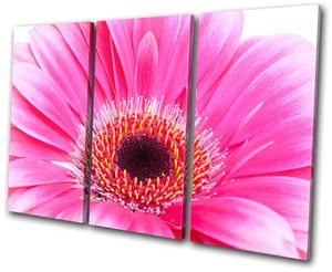 Floral Gerbera Flowers TREBLE CANVAS WALL ART Picture Print VA - Picture 1 of 1