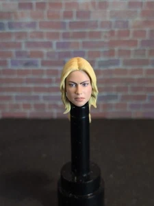 Marvel Legends SHIELD Agent & Hydra Trooper 2PK " 1 FEMALE HEAD ONLY" 6" Figures - Picture 1 of 5