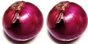 CALIFORNIAN RED ONION HEIRLOOM VEGETABLE SEEDS ALLIUM CEPA SALAD ONION MILD - Picture 1 of 3