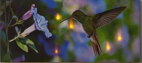 Outdoor Safe Print Art on Canvas LED Lighted  " Hummingbird Motif "GI 700808 Cover
