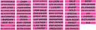 ez Auto Dealer Windshield Slogans PINK AND BLACK 5 packs 15" Mix and Match