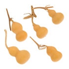 Mini Dried Gourds for Artistic Creations - Set of 5 