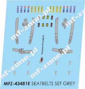 DECALS 1/43 SEABELTS / HARNAIS SECURITE GRIS  – D43481E - Imagen 1 de 1
