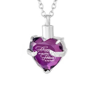 Forever in My Heart Urn Necklace For Ashes Cremation Memorial Keepsake Jewelry - Picture 1 of 25
