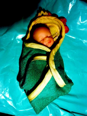 ASHTON DRAKE 树脂分析正确男宝宝娃娃(雪莉·拉恩捆绑包婴儿?) — 第 1/4 张图片