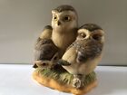 Danbury Mint Nesting Owlets Little Owls By Robert Hersey