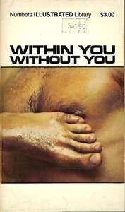 Gay Pulp Fiction, Within You Without You, Numbers Illustrated Library, 1978 - Picture 1 of 5