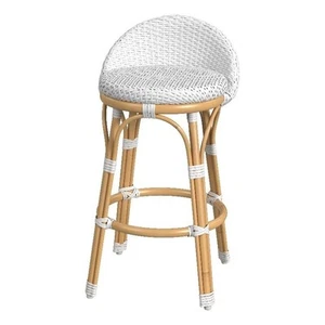 Butler Specialty Company Tobias 24" Outdoor Rattan Low Back Counter Stool -White - Picture 1 of 7