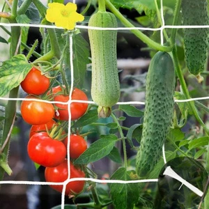 2 Pack Trellis Netting for Climbing Plants, 5x15 Ft Per Pack Heavy Duty Garde... - Picture 1 of 6