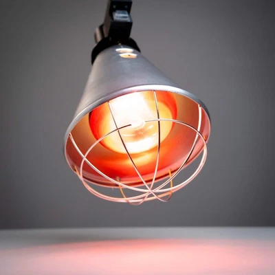 DOG HEALTH Infrared Heat Lamp Poultry, Puppies, Dog, Kittens Piglets Animals With 250W Bulb