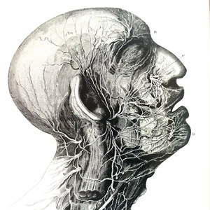 Vintage Plastic Surgery Vol 3 The Face Part 2 Book Hardcover McCarthy 1990 - Picture 1 of 13