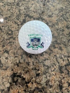 LOGO GOLF BALL-ORIGINAL NEWCASTLE GOLF & COUNTRY CLUB-CANADA-OLDER LOGO‼️ - Picture 1 of 1