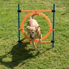 Dog Agility Jumping Hoop Height Adjustable Poles Carry Bag Quality Best Training