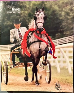 Arabian Horse Times Magazine 💌 October 1995 Issue Vintage 🍁 - Picture 1 of 6