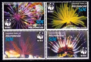 Micronesia 2005 Marine Life - WWF Complete Mint MNH Set Block SC 659 - Picture 1 of 1