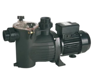 Saci Swimming pool purifier 0.75CV single-phase 12,5m3/h, for swimming pools 50/ - Imagen 1 de 1