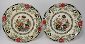 2 Vintage Coalport Kings Ware Canton 8,25" schwarzer Rand seitliche Kuchenplatten 1930er Jahre sehr guter Zustand - Bild 1 von 7