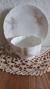 Rc Bavaria Dainty Daisy Soft Pink & Green Cup & Saucer - Picture 1 of 2