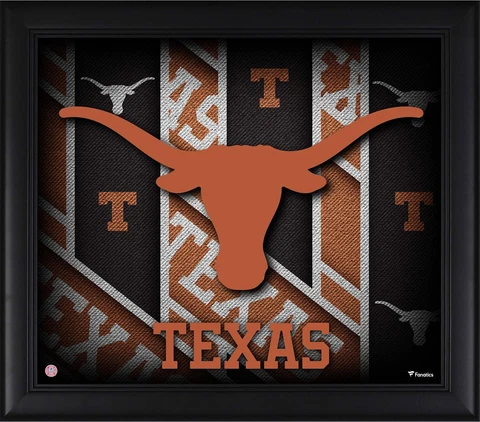 Texas Longhorns Framed 15" x 17" Team Threads Collage Cover