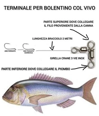 TERMINALE BOLENTINO COL VIVO 2AMI SCORREVOLE PESCA DENTICI CERNIE RICCIOLE PAGRI - Image 1 of 4