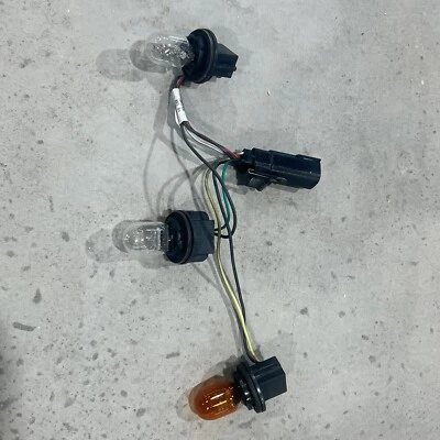 Arnés de luces traseras 19+ Ram 2500 3500 OEM HALÓGENO 🔥 izquierda o derecha izquierda derecha derecha Foto 1 de 3