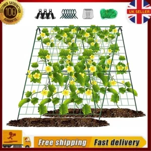 Garden Trellis Plant Support Mesh Net Fence Tent Climbing Veggie Pea Bean Fruit. - Picture 1 of 9
